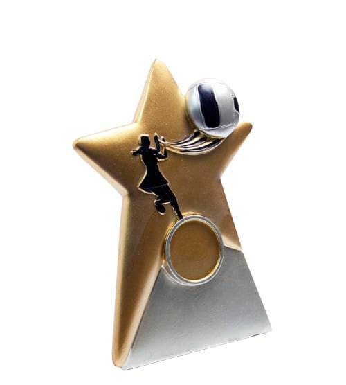 Gold Star - Netball
