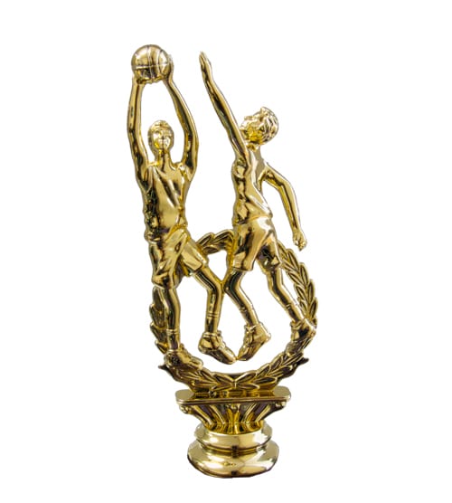 Basketball - Double Action