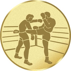 Kick Boxing Images