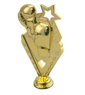 Boxing Victory Star