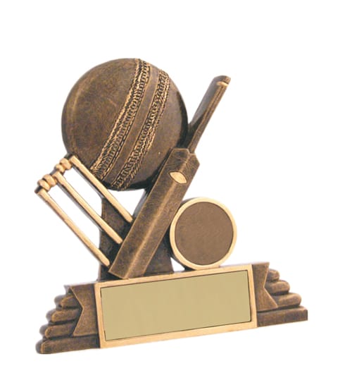 Cricket All Rounder