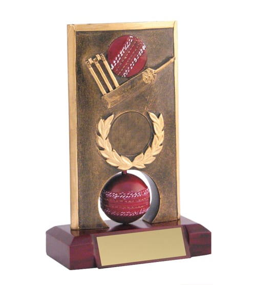 Cricket Spinner