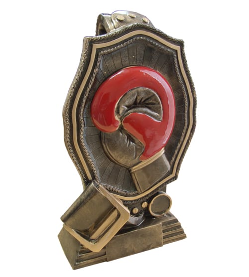 Boxing Glove & Belt