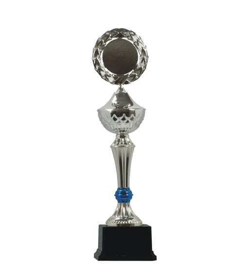 Silver Winners Award