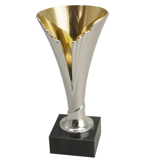 La Rochelle Trophy Cup