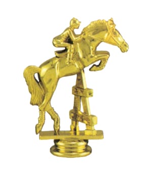 Horse Jumping