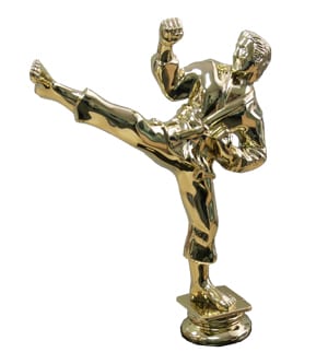 Karate - Gold Male - Large