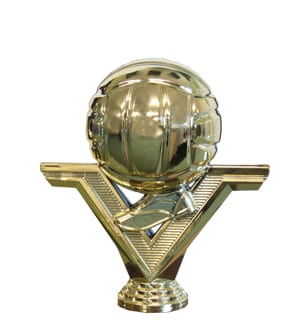 Netball Victory Gold