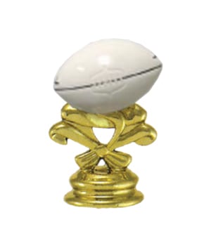 Rugby Ball - Coloured