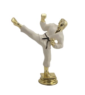 Karate Male - Black Belt