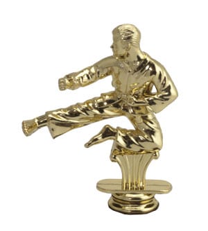Karate - Male