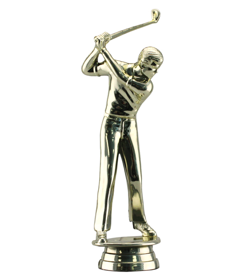 Golf Swing Male