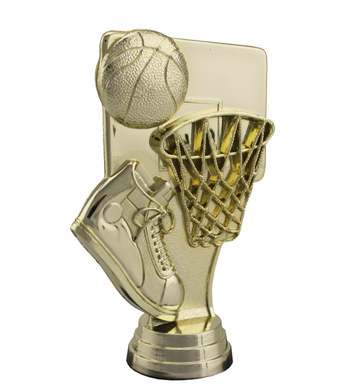 Basketball Goal