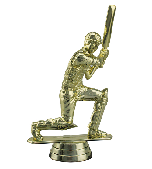 Cricket Batsman - Kneeling