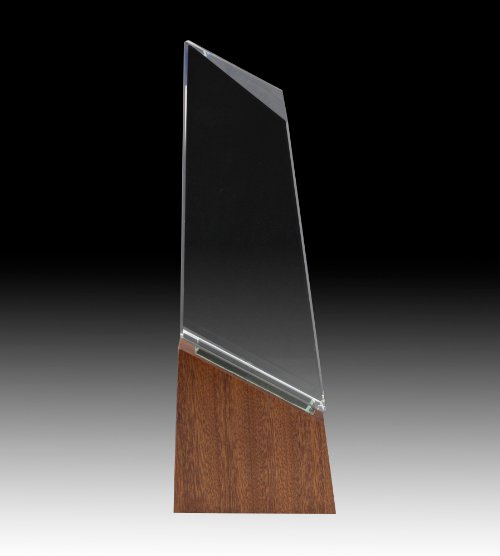 Everest Crystal Award