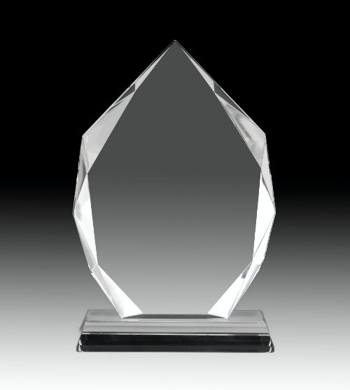 Amazon Crystal Award