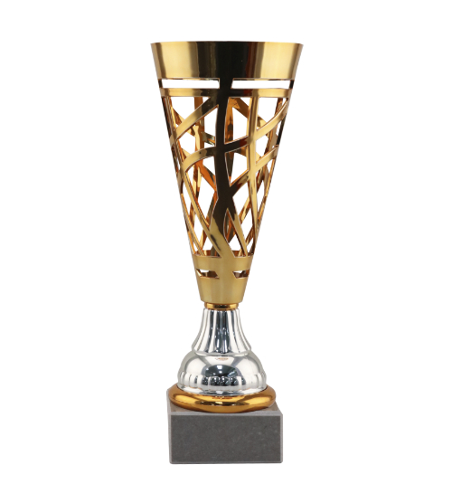 Challenger Cup - Bronze