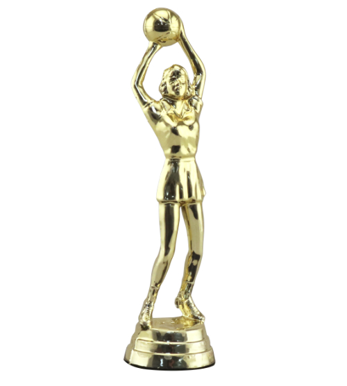 Netball Shooter
