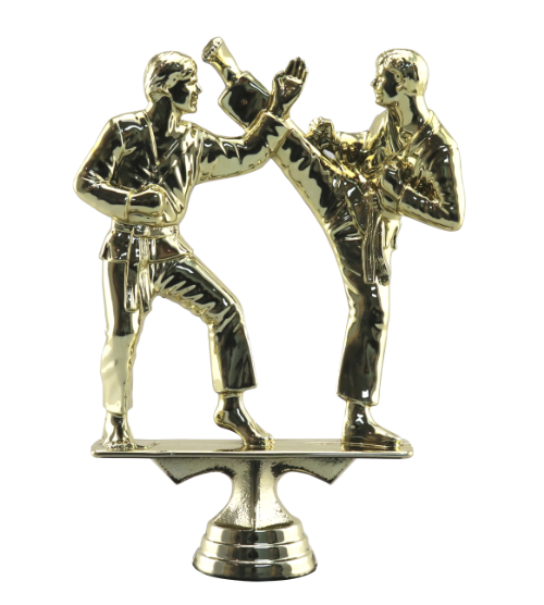 Karate Male Pair - Fighters