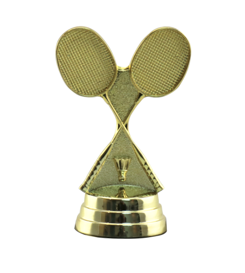 Badminton Rackets & Shuttlecock